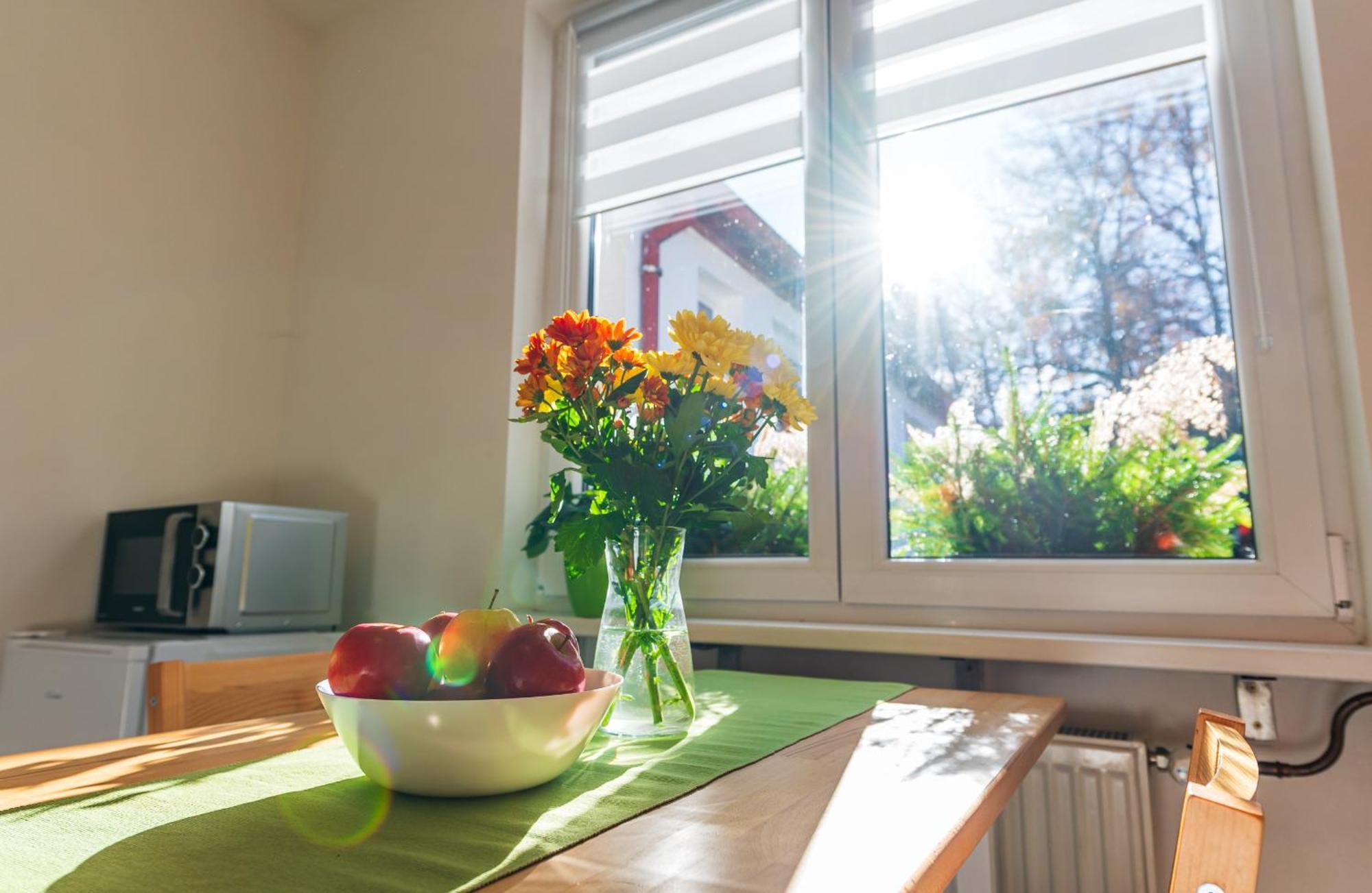 Ubytovani Na Samote - Apartman U Tesaru Komarice Luaran gambar