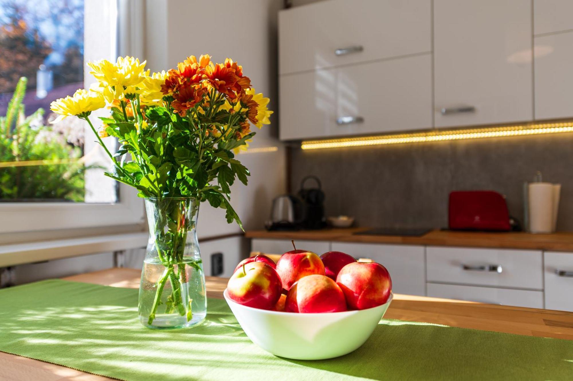 Ubytovani Na Samote - Apartman U Tesaru Komarice Luaran gambar